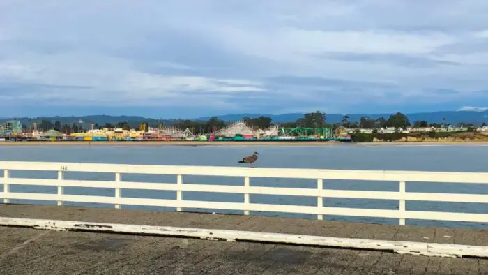 Santa Cruz Beach Boardwalk
